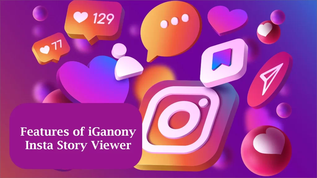 Explore Features of iGanony Instagram story viewer