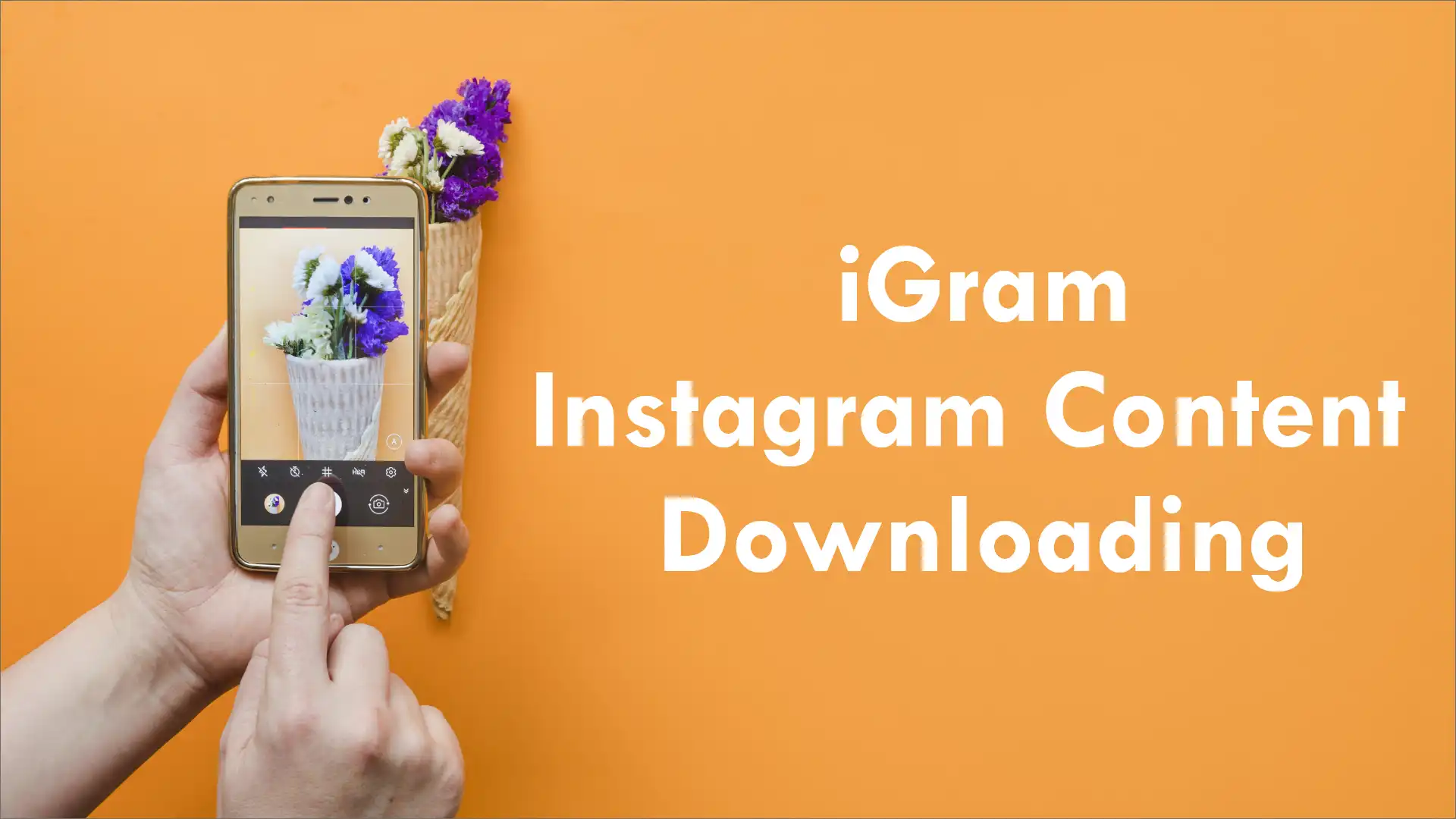 IGram Ultimate Tool For Instagram Content Downloading Wan io IGram Ultimate Tool For Instagram Content Downloading Wan io